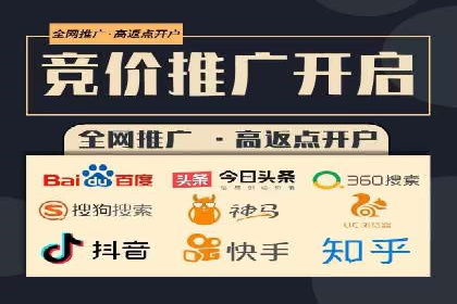 网络推广秘籍：竞价排名成功案例集锦